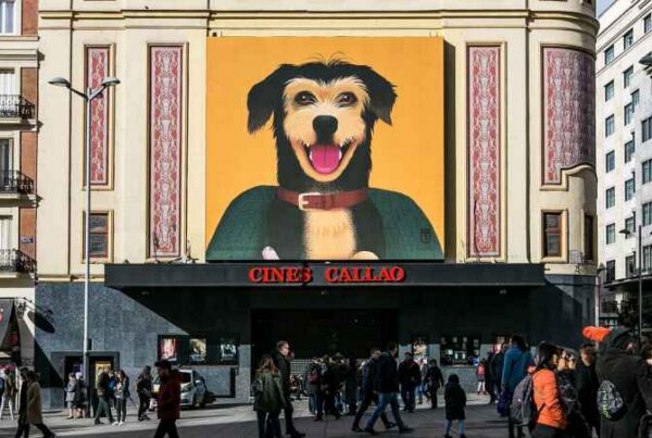 Campañas Publicitarias