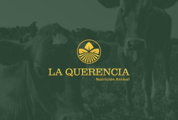 Construcción de marca La Querencia