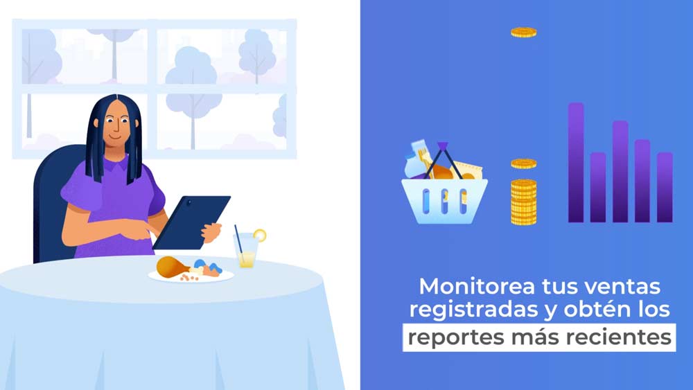 video animado explicativo usoi de plataforma