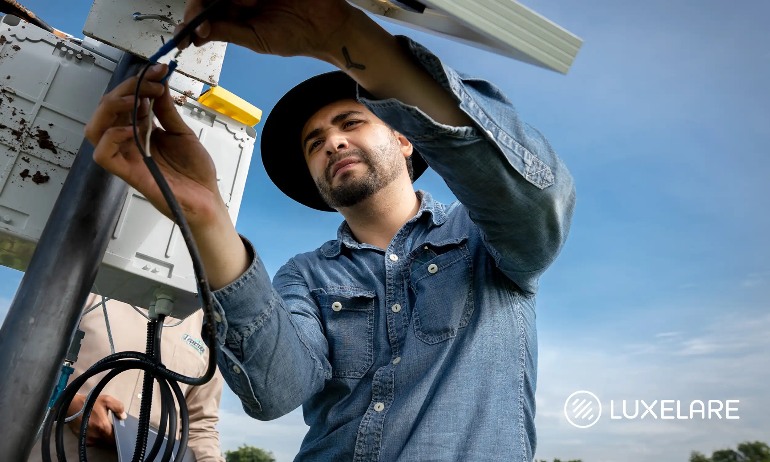 luxelare agricultura marketing diseño agencia sinaloa