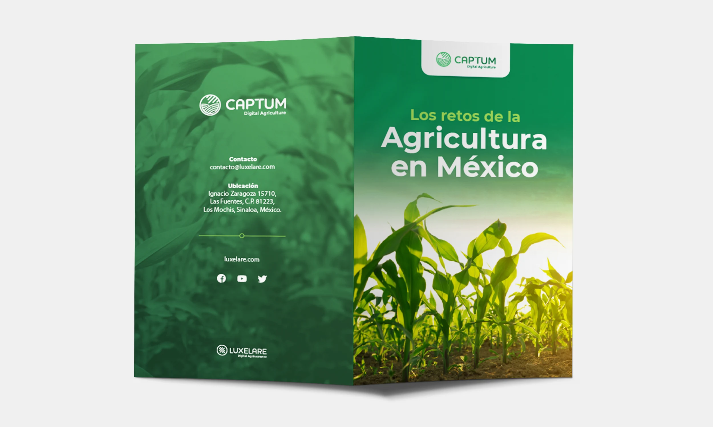 luxelare agricultura marketing diseño agencia sinaloa