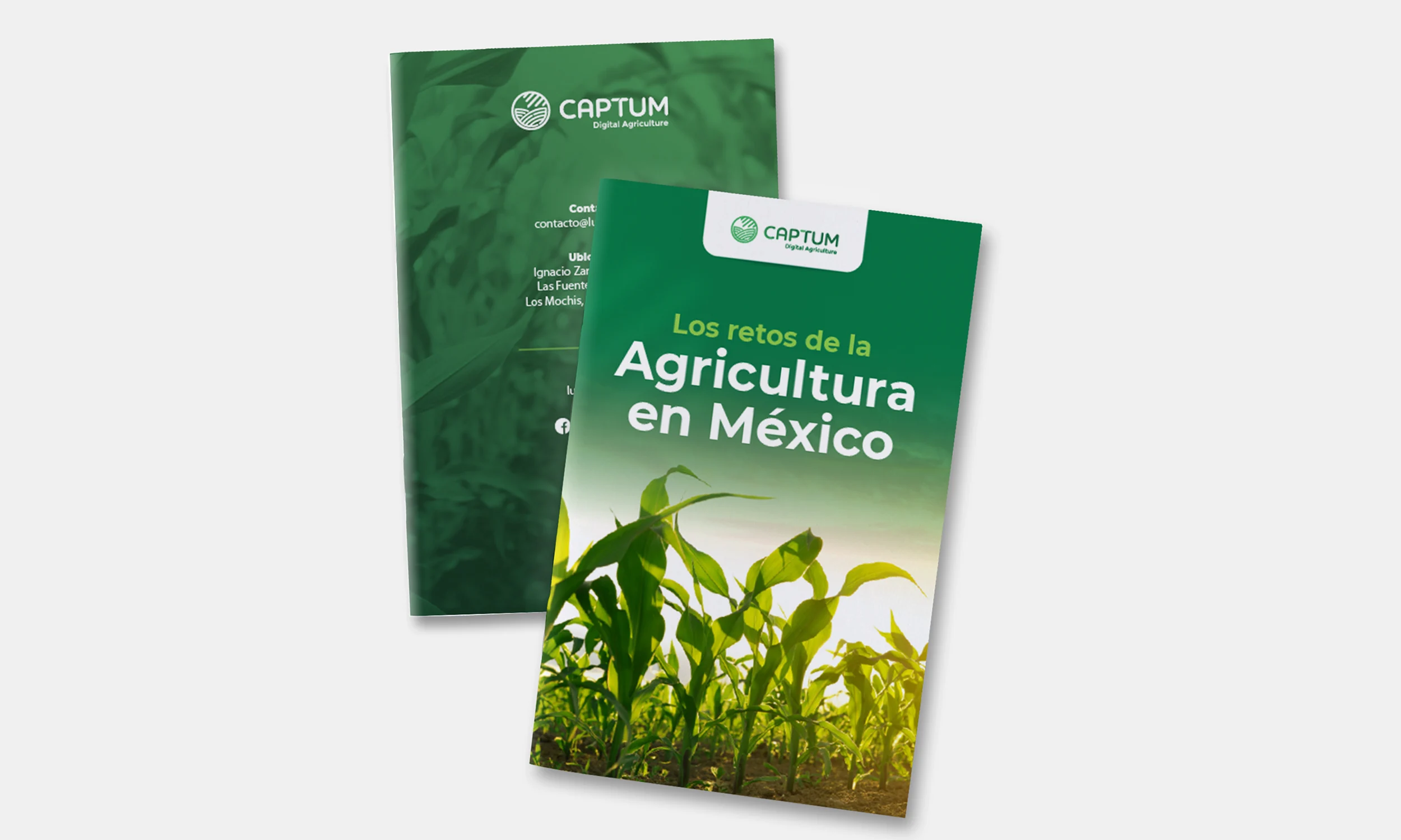 luxelare agricultura marketing diseño agencia sinaloa
