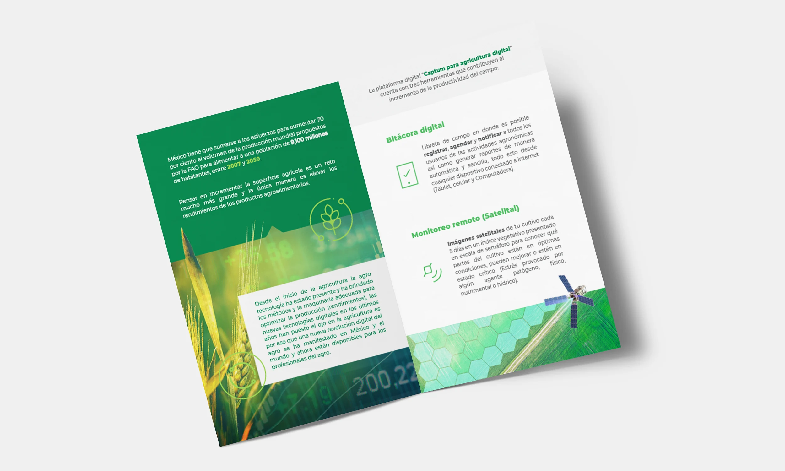 luxelare agricultura marketing diseño agencia sinaloa