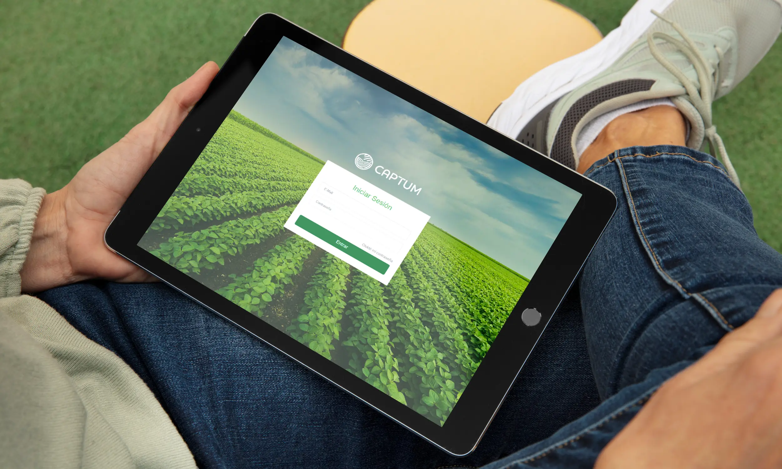 luxelare agricultura marketing diseño agencia sinaloa web